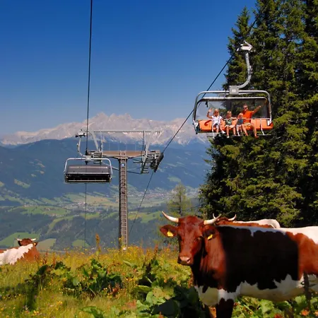 Daire Sonnberg-1 By Interhome Flachau